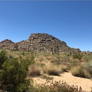 Meet your Posher, Jackson